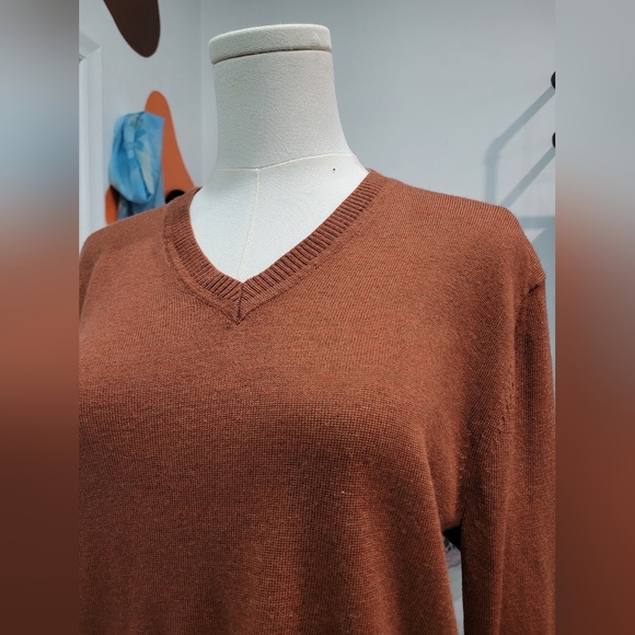 Banana Republic V-Neck Merino Wool Sweater in Warm Brown - Picture 2 of 6